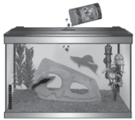 GloFish 3-Gallon Aquarium Kit -Maintenance Guide