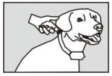 PATPET P Collar 301 Dog Training Cooler-fig9