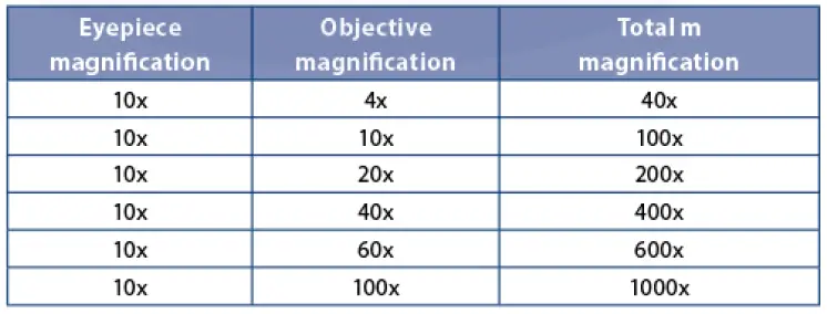 Objectives