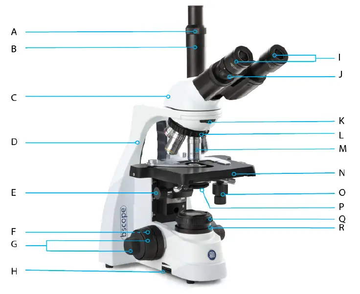 Components of the microscope