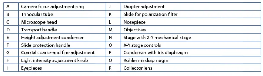 Components of the microscope