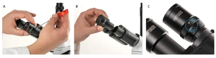 Placing the eyepieces