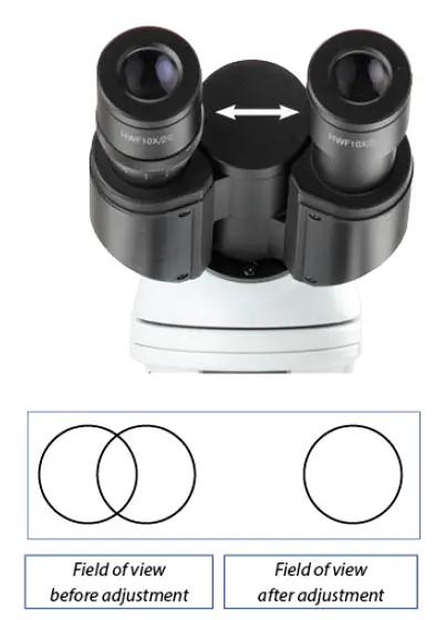 The correct eye point