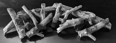 evonicfires E-Touch- SUITES- & STOVES-14