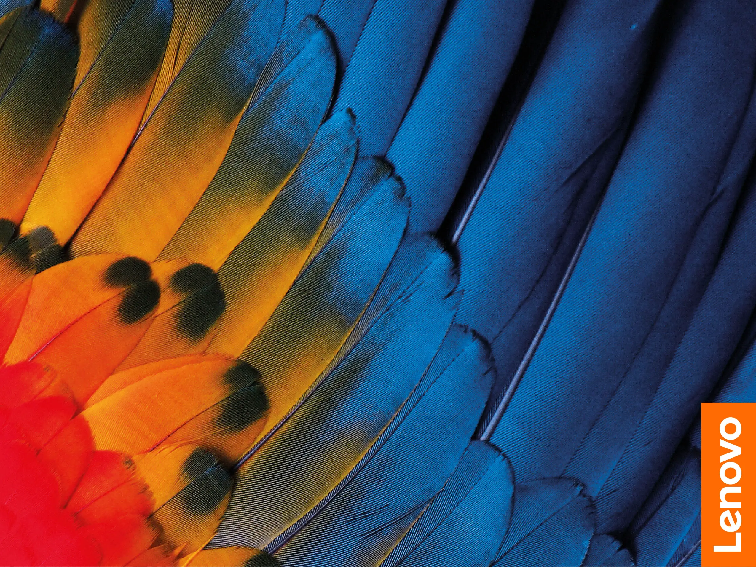 Lenovo IdeaPad 5 14ABA7 Cloud Grey