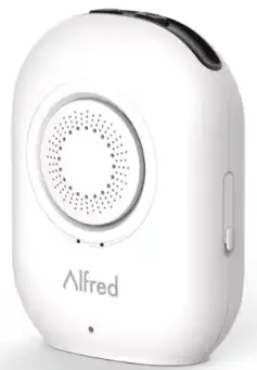 Alfred Connect V2 Bridge fig 5