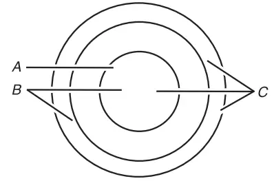 JENNAIR-W10848426B-36-Inches-Black-Electric-Down-Cooktop-FIG-6