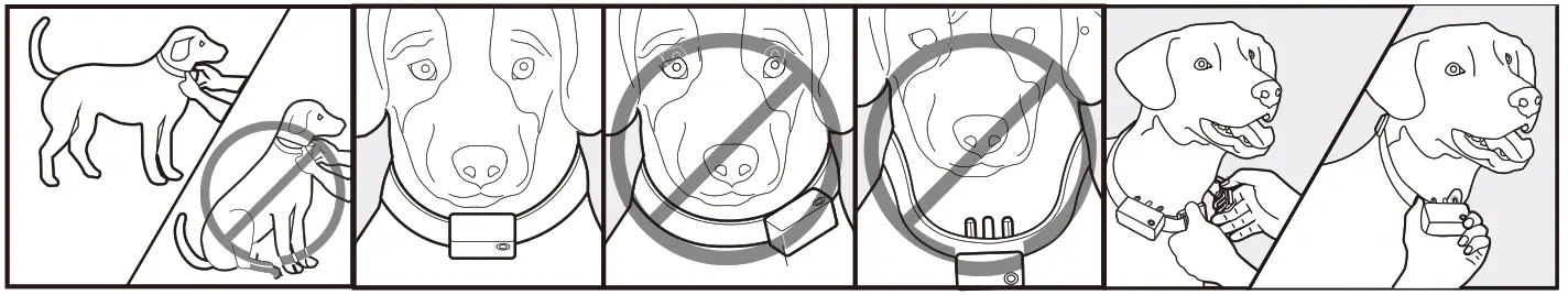 Chewy Bark Collar Waterproof and Rechargeable Multi Vibrations and Tone - Figure 12