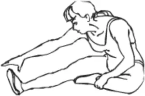 TTAP TT-300 - Figure 2