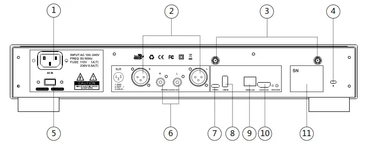 EWEAT-DMP20-Digital-Audio-Player-Rear of the player