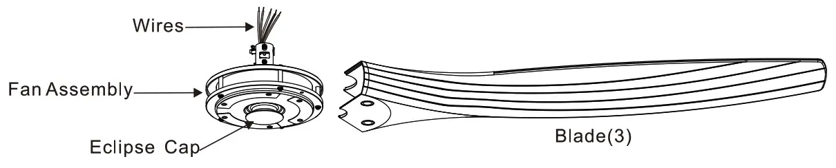 Unpack Fan & Blades packed in one Box 3