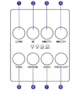 Shenzhen Youshida High Technology YS-203 Wireless Karaoke Speaker fig 1