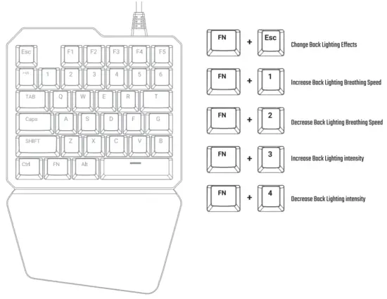 DarkWalker FO203 Mechanical Keyboard &amp -