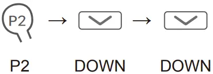 ELLARD DM25LEU 25mm Bidirectional Motor - Fields 2