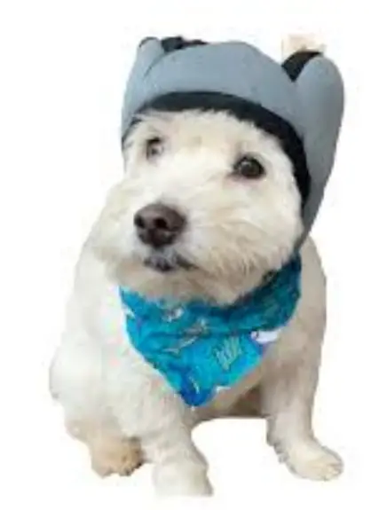 PAWNIX Active Noise Cancelling Bluetooth Headphones product