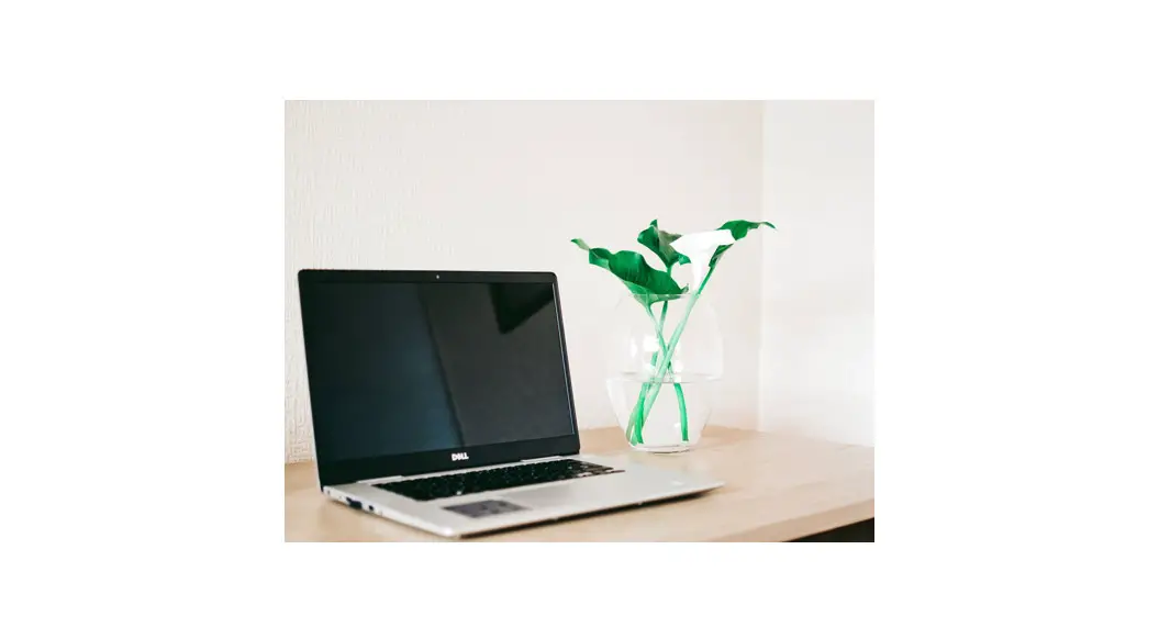 Dell Supportassist For Home Pcs Version 3.11.4 App User Guide