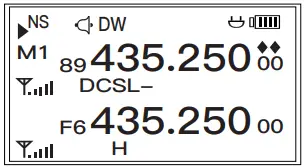 QUANSHENG UV K5 Two Way Radio - LCD Display