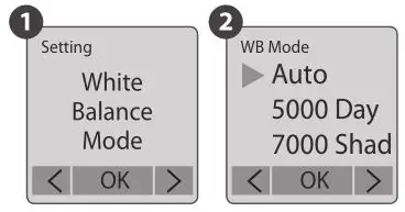 brinno TLC200 Pro - White Balance Mode
