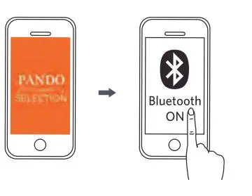 PANDO EF919B4 Smart Body Composition Scale fig7