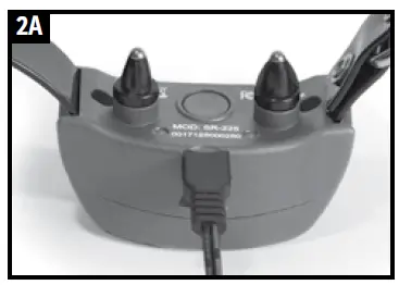 SportDOG Brand 425X Remote Trainers (5)