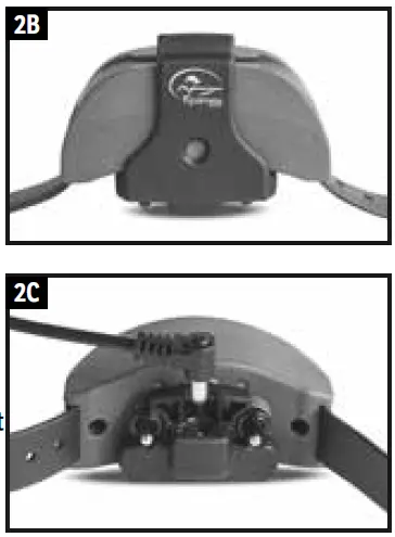 SportDOG Brand 425X Remote Trainers (6)