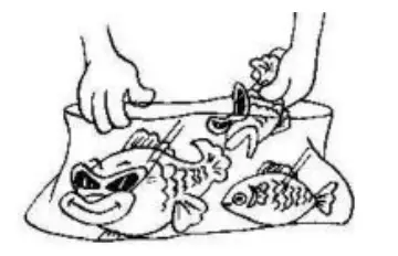 DAEMA DFZ-0801CG Chest Freezer - fig 39