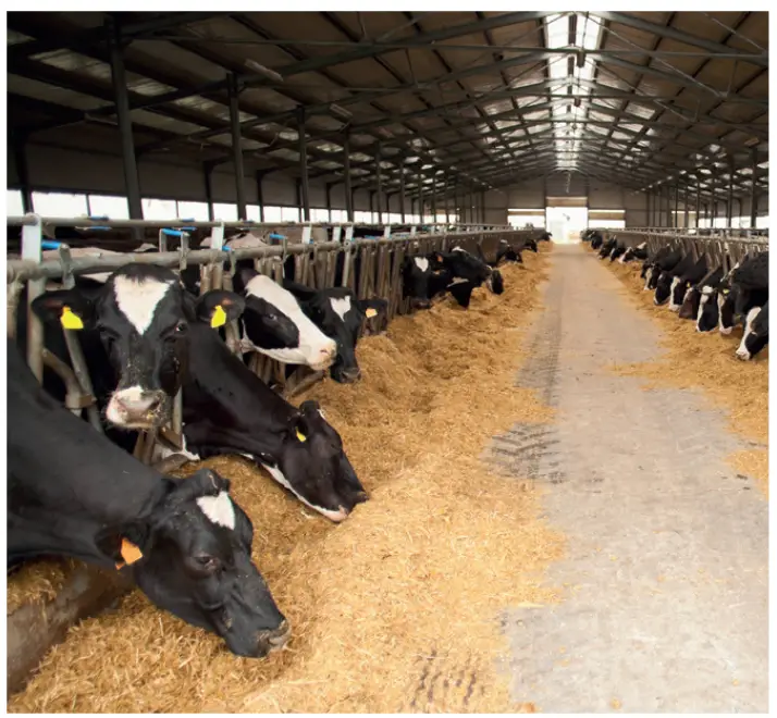 OUELLET AUG05000AMLT-DIS40-IV-T Agricultural Wash Down Unit Heater 1