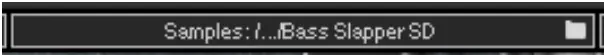 WAVES Bass Slapper Sample-Based Virtual Instrument - Sample Libraries