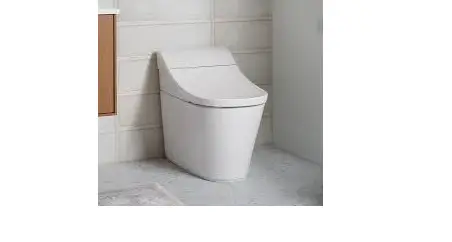 R T V7216 Smart Toilet User Manual