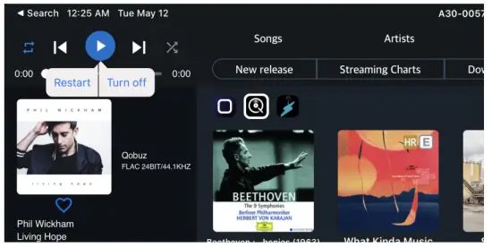 aurender N200 High Performance Netwerk Streamer - Restart