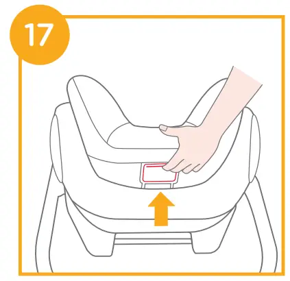 Squeeze the head support adjustment