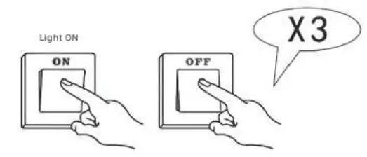 Shenzhen-Chilong-Industrial-MX-382-Floor-Light-29