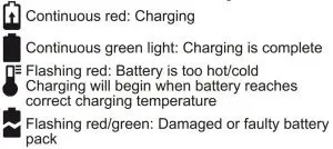FIG 6 Charger Indicators