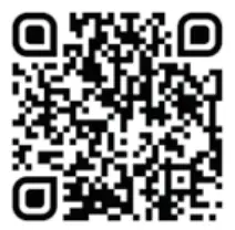 Majestic TS 100BT USB or SD or AX Bluetooth Multimedia Audio System - qr