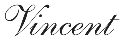 Vincent-logo