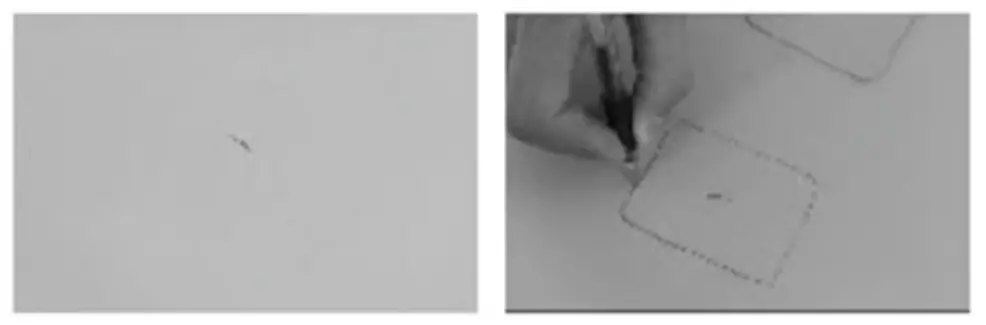 SPORTSTECH WBXs 250 SUP Board - sambol 12