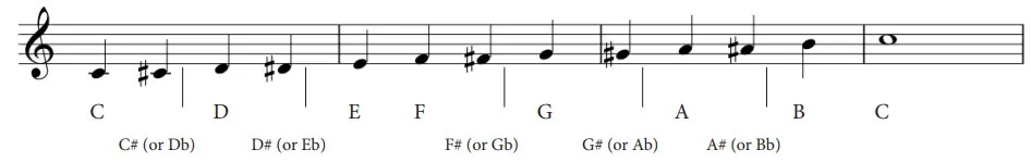 VOLOCO 4th Edition Voice Processing App - particular key