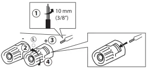 TAGA HARMONY TTA 1000B High End Vacuum Tube -cables