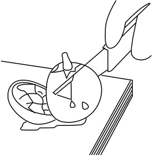 WestBend JC2009RD13 Cold Press Juicer- Using 9