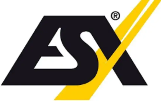 esx logo