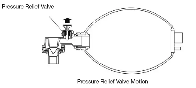 Principle Drawing (D)