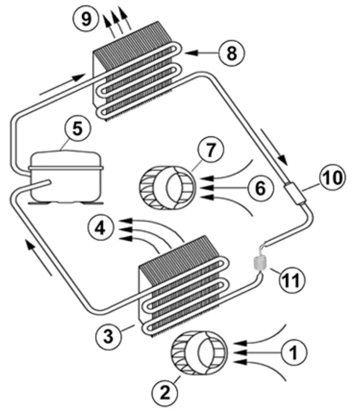 Functional Principle