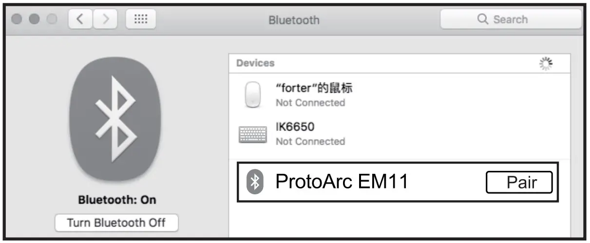 Bluetooth Connection