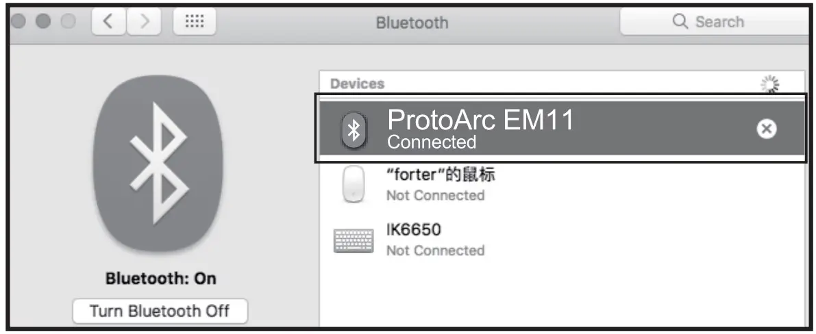 Bluetooth Connection