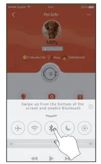 PAWBO iPuppyGo Smart Pet Activity Tracker Installation Guide - Enable Bluetooth on your phone