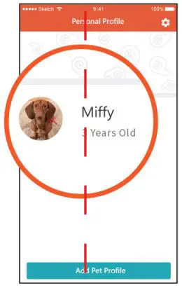 PAWBO iPuppyGo Smart Pet Activity Tracker Installation Guide - Select the pet wearing the iPuppyGo