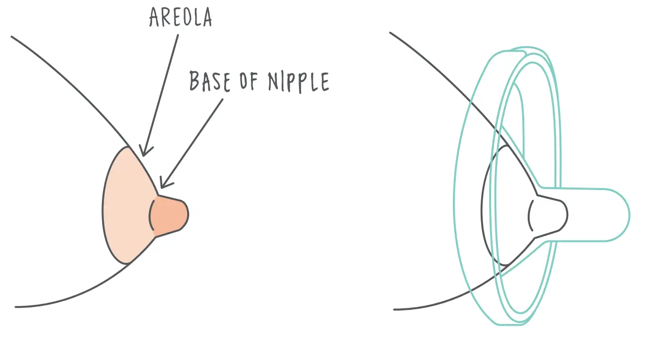 Willow Wearable Breast Pump - size