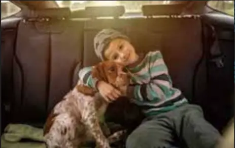 YRU C126 Universal Car Phone Holder -FIGURE 18