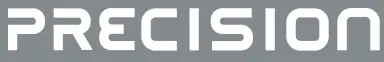 PRECISION -logo