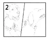 DOGLINE-B08TWXNZ1Y-Rechargeable-Citronella-Bark-Collar-4